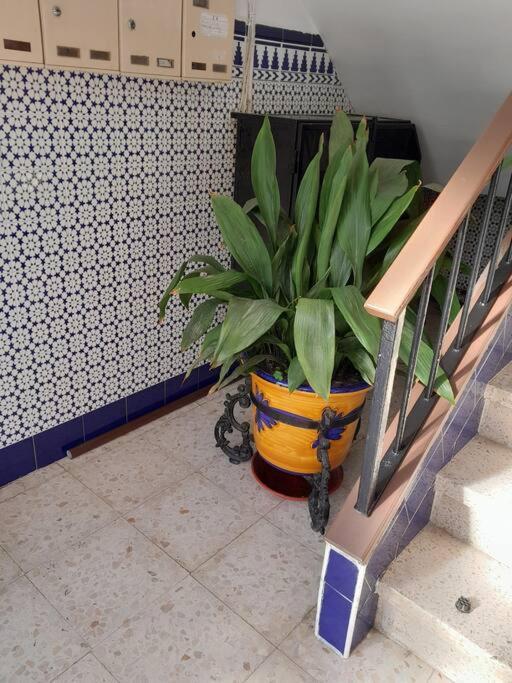 Disfruta De Un Barrio Tranquilo Daire Alcalá de Guadaira Dış mekan fotoğraf